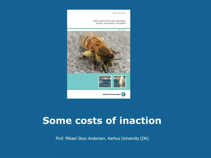 some costs of inaction