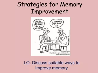 Strategies for Memory Improvement