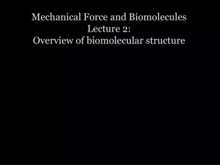 Mechanical Force and Biomolecules Lecture 2: Overview of biomolecular structure