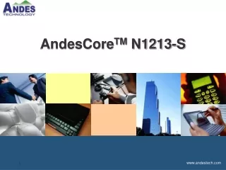 AndesCore TM  N1213-S