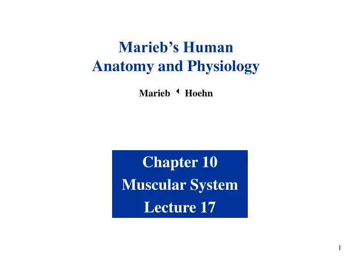 marieb s human anatomy and physiology marieb