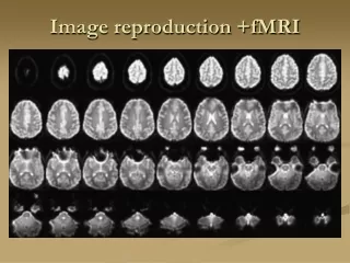 Image reproduction +fMRI