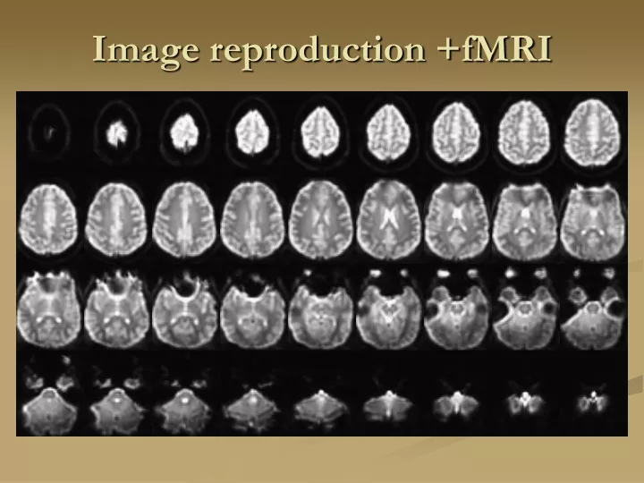 image reproduction fmri