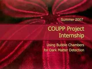 COUPP Project  Internship