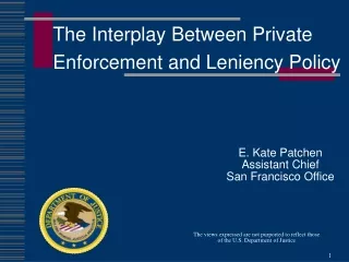 The Interplay Between Private  Enforcement and Leniency Policy