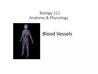 Biology 212 Anatomy &amp; Physiology  I