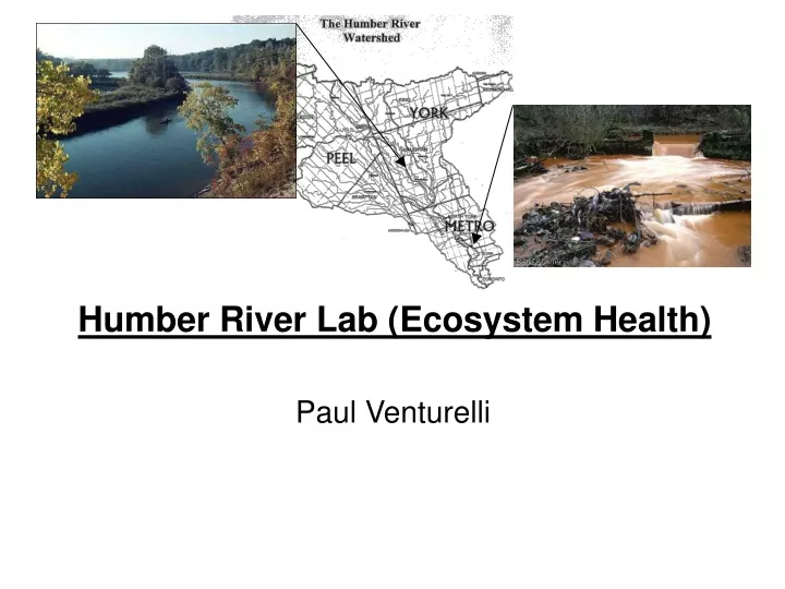 humber river lab ecosystem health