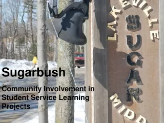 Sugarbush