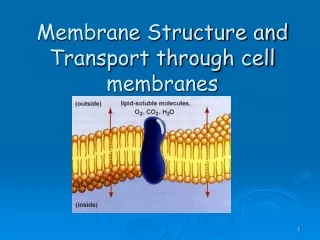 Membrane Structure and Transport through cell membranes