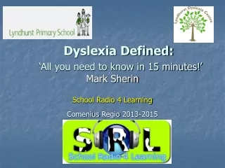 Dyslexia Defined: ‘All you need to know in 15 minutes!’