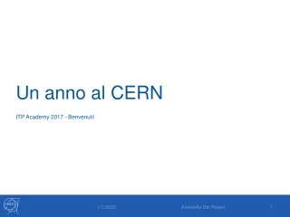 Un anno al CERN
