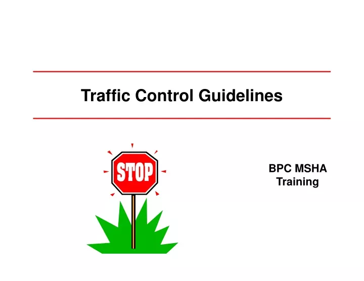 traffic control guidelines