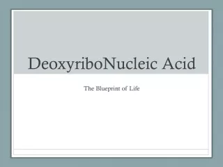 DeoxyriboNucleic Acid
