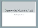 Unlocking DNA: The Blueprint of Life - slide 1