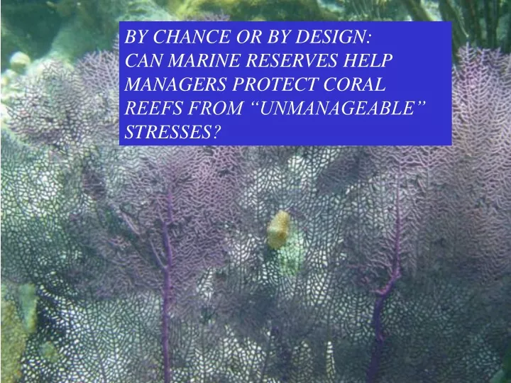 by chance or by design can marine reserves help