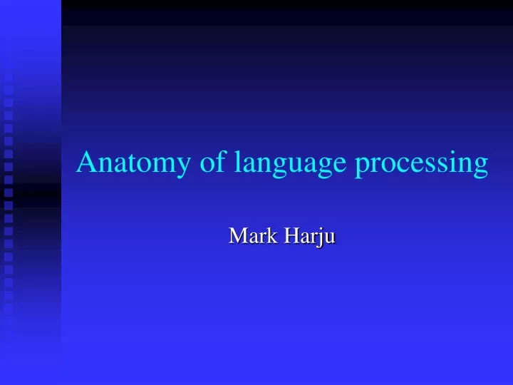 anatomy of language processing