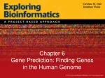 Decoding Gene Prediction: Unraveling Human Genome Secrets - slide 1