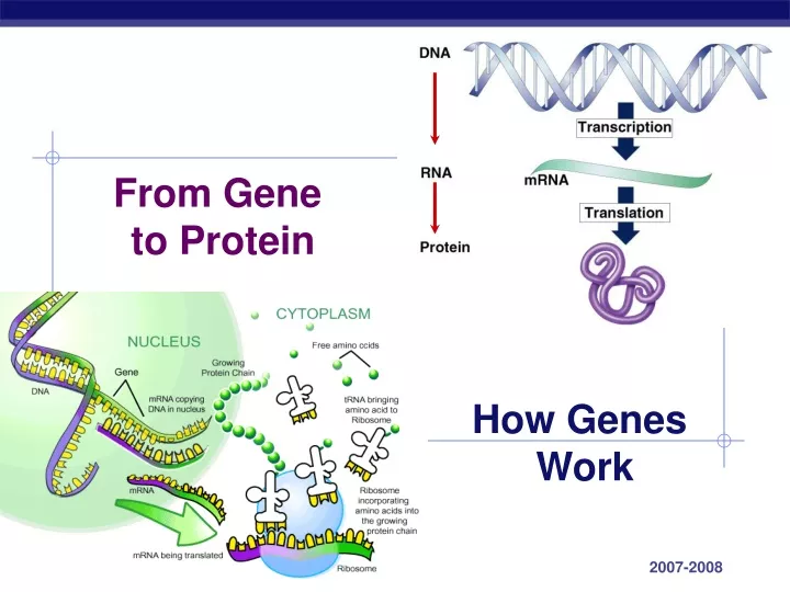 from gene to protein