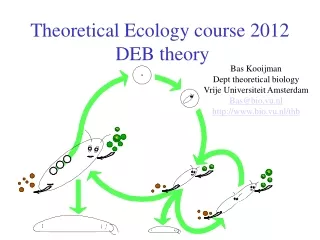 Theoretical Ecology course 2012   DEB theory