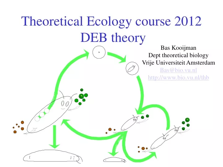 theoretical ecology course 2012 deb theory