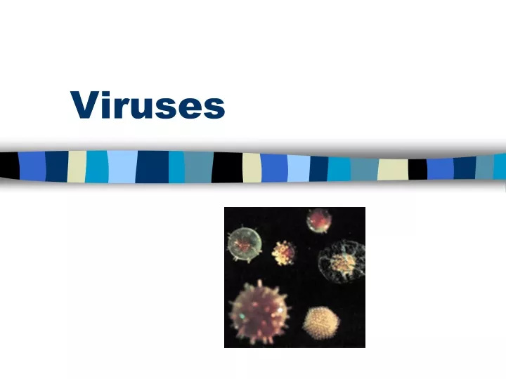 viruses