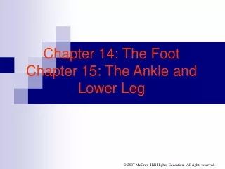 Chapter 14: The Foot Chapter 15: The Ankle and Lower Leg