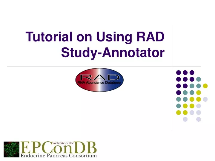 tutorial on using rad study annotator