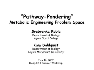 “Pathway-Pondering” Metabolic Engineering Problem Space