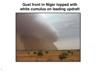 Gust front in Niger topped with  white cumulus on leading updraft