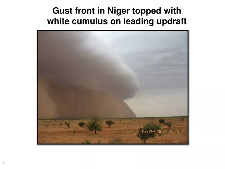 gust front in niger topped with white cumulus