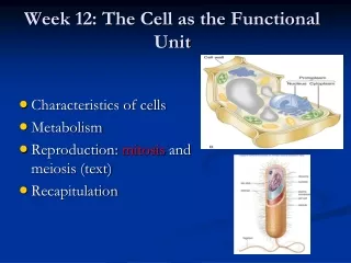 Week 12: The Cell as the Functional Unit