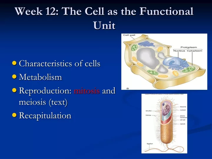 week 12 the cell as the functional unit