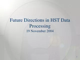 Future Directions in HST Data Processing 19 November 2004