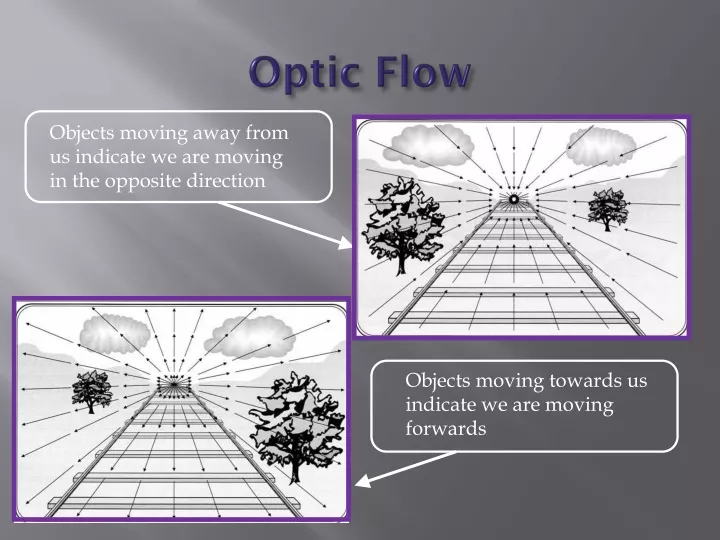 optic flow