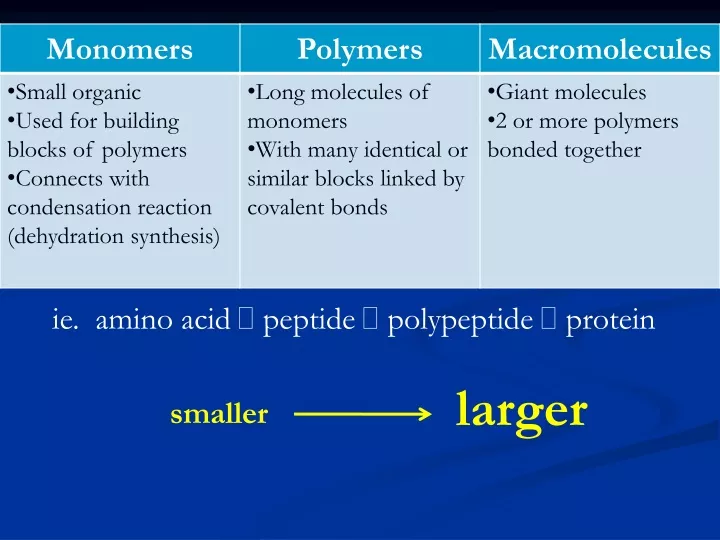 ie amino acid peptide polypeptide protein