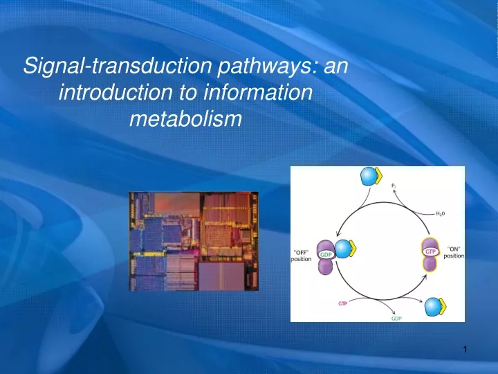 signal transduction pathways an introduction to information metabolism