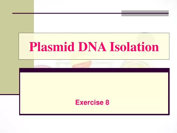 plasmid dna isolation