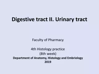 Digestive tract II. Urinary tract