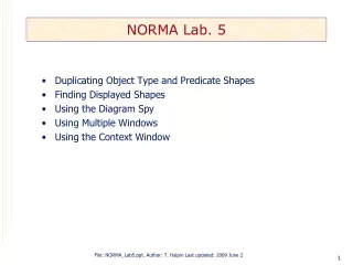 NORMA Lab. 5