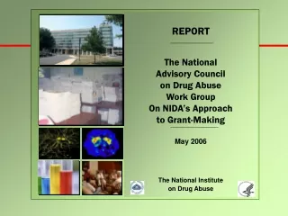 REPORT The National  Advisory Council  on Drug Abuse Work Group On NIDA’s Approach