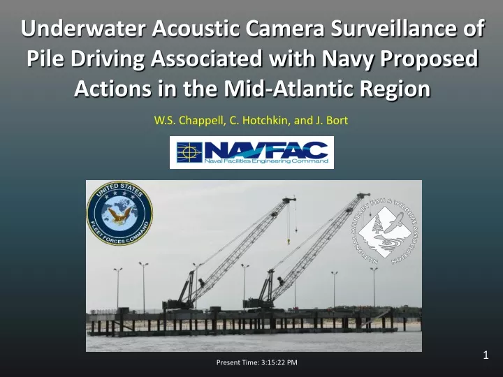 underwater acoustic camera surveillance of pile