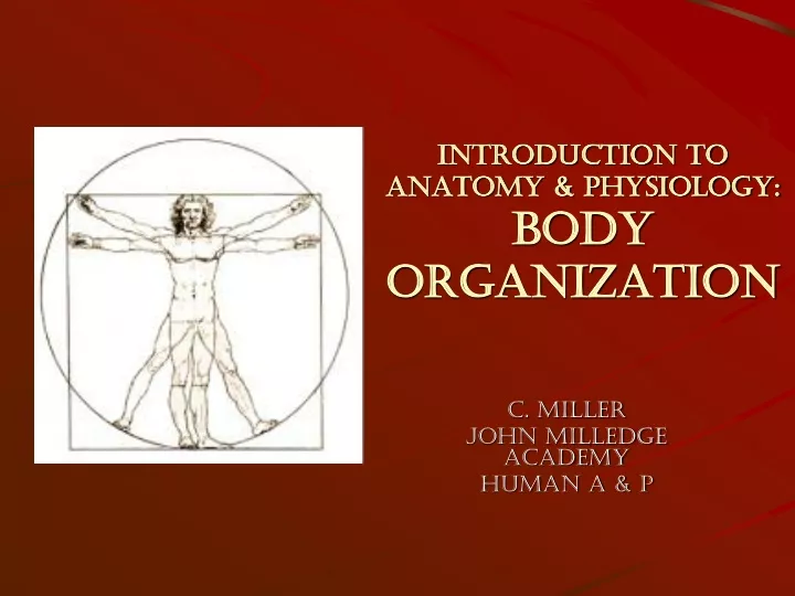introduction to anatomy physiology body organization