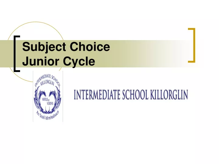 subject choice junior cycle