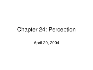 Chapter 24: Perception