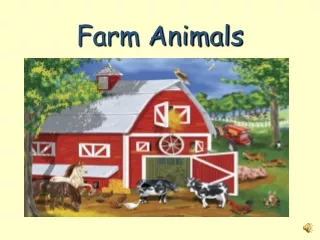 Farm Animals