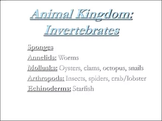 Animal Kingdom: Invertebrates