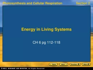 Energy in Living Systems