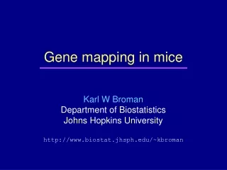Gene mapping in mice