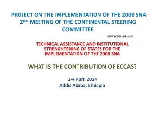 PROJECT ON THE IMPLEMENTATION OF THE 2008 SNA 2 ND  MEETING OF THE CONTINENTAL STEERING COMMITTEE