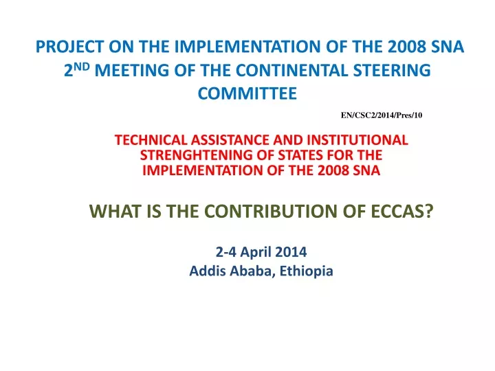 project on the implementation of the 2008 sna 2 nd meeting of the continental steering committee